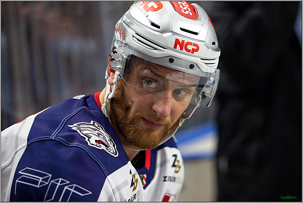 PENNY DEL; Koelner Haie- Nuernberger Ice Tigers; Koeln, 29.01.2023